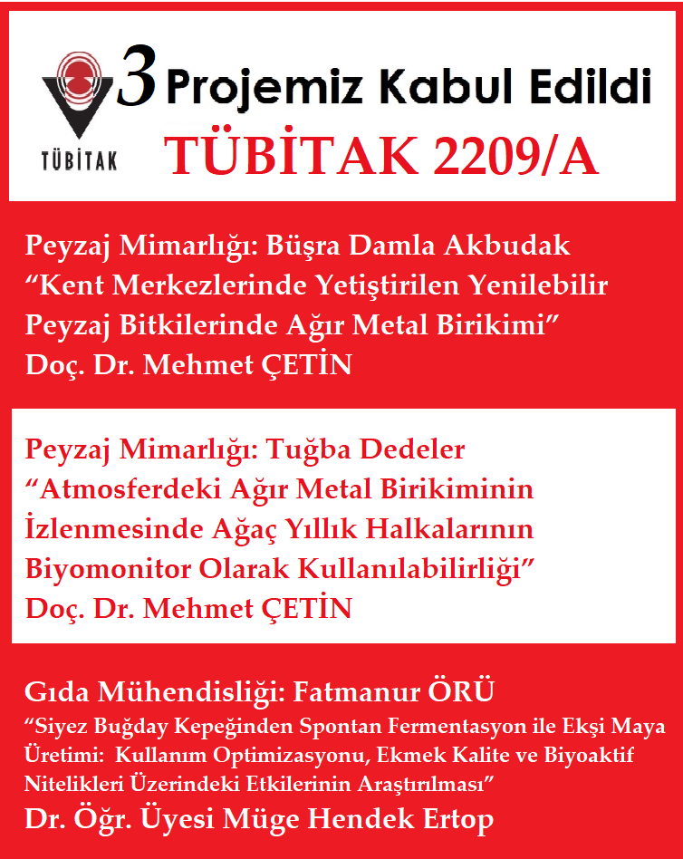 ogrenci projeleri 2209 A 2020