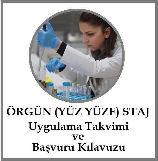 staj orgun
