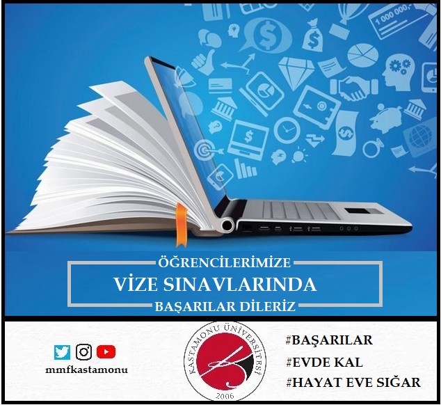 vize basarilar