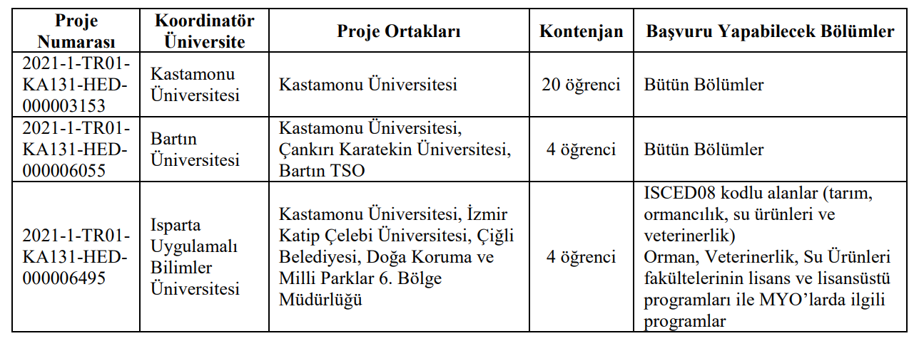 ErasmusStaj