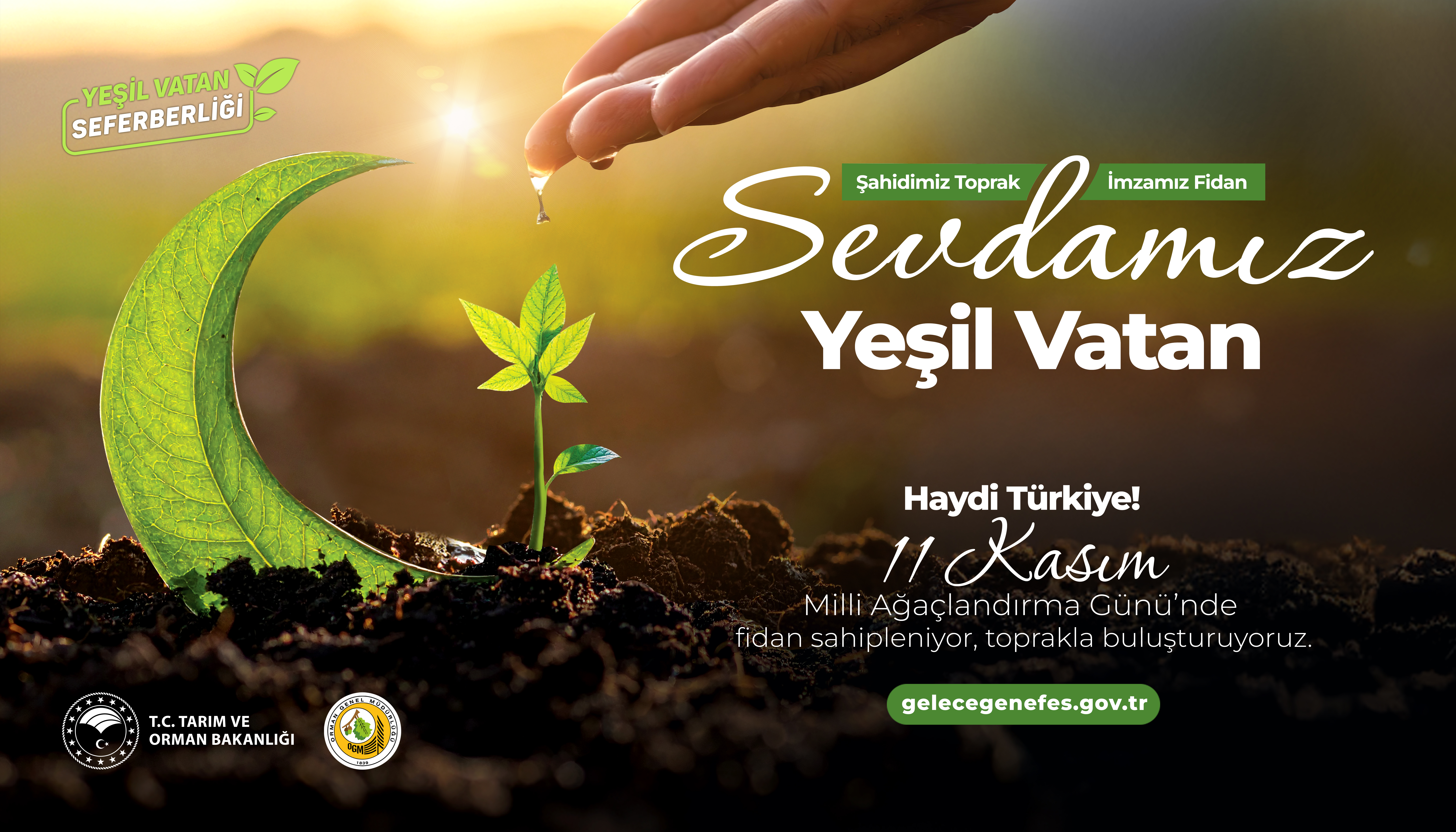 11 Kasım Milli Ağaçlandırma Günü Etkinlikleri